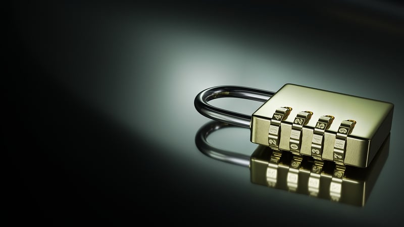 Colorful plant combinations